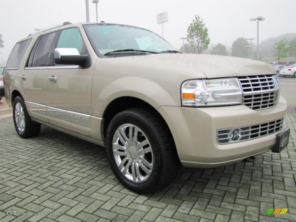 2007 Navigator Ultimate - Light French Silk Metallic / Camel photo #7