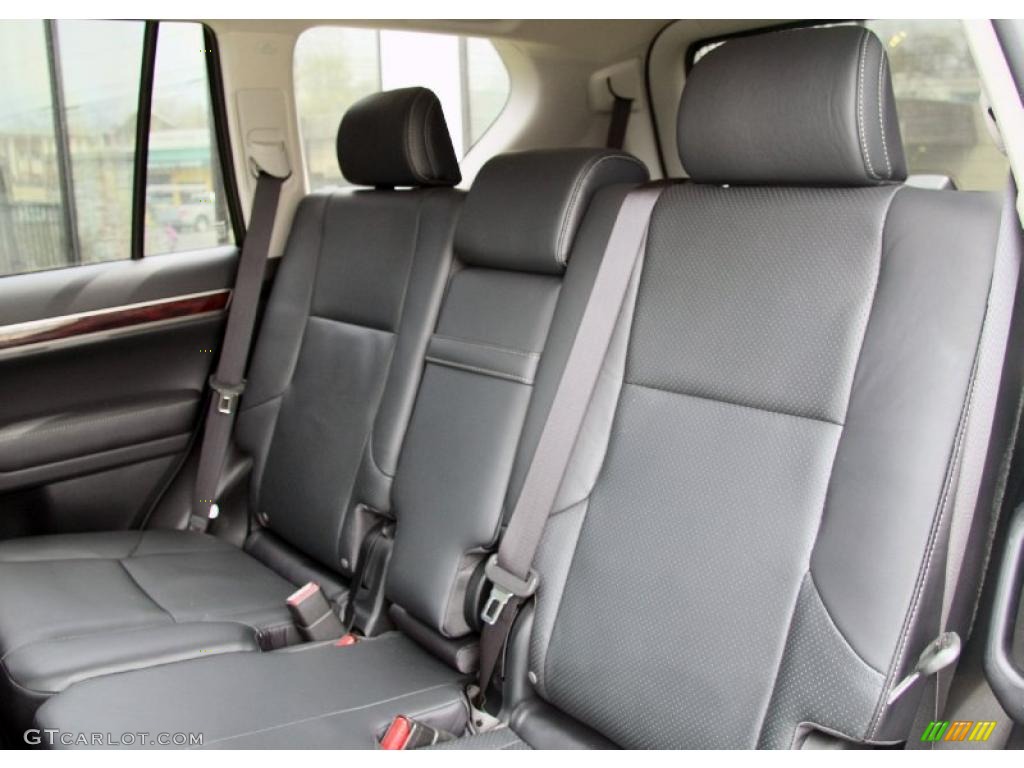 Black Interior 2010 Lexus GX 460 Photo #48437196