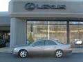 Antique Sage Pearl Metallic - ES 300 Photo No. 2