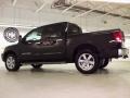 Galaxy Black - Titan LE Crew Cab 4x4 Photo No. 10