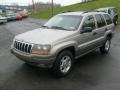 Silverstone Metallic - Grand Cherokee Laredo 4x4 Photo No. 3