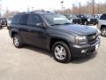 2007 Graphite Metallic Chevrolet TrailBlazer LT 4x4  photo #3