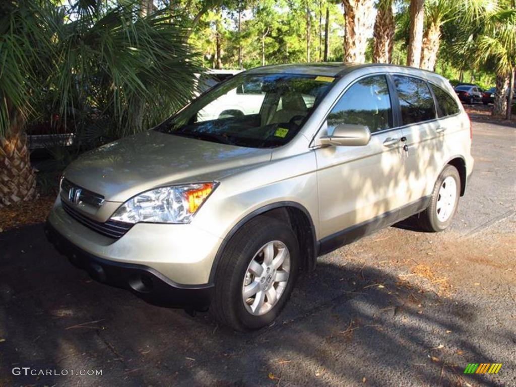 2009 CR-V EX-L - Borrego Beige Metallic / Ivory photo #4