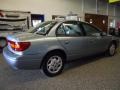 Silver Blue - S Series SL2 Sedan Photo No. 5