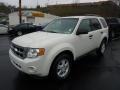 2009 White Suede Ford Escape XLT 4WD  photo #5