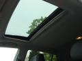 Flint Gray Mica - RX 330 AWD Photo No. 13