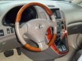 2001 Black Onyx Lexus RX 300 AWD  photo #8