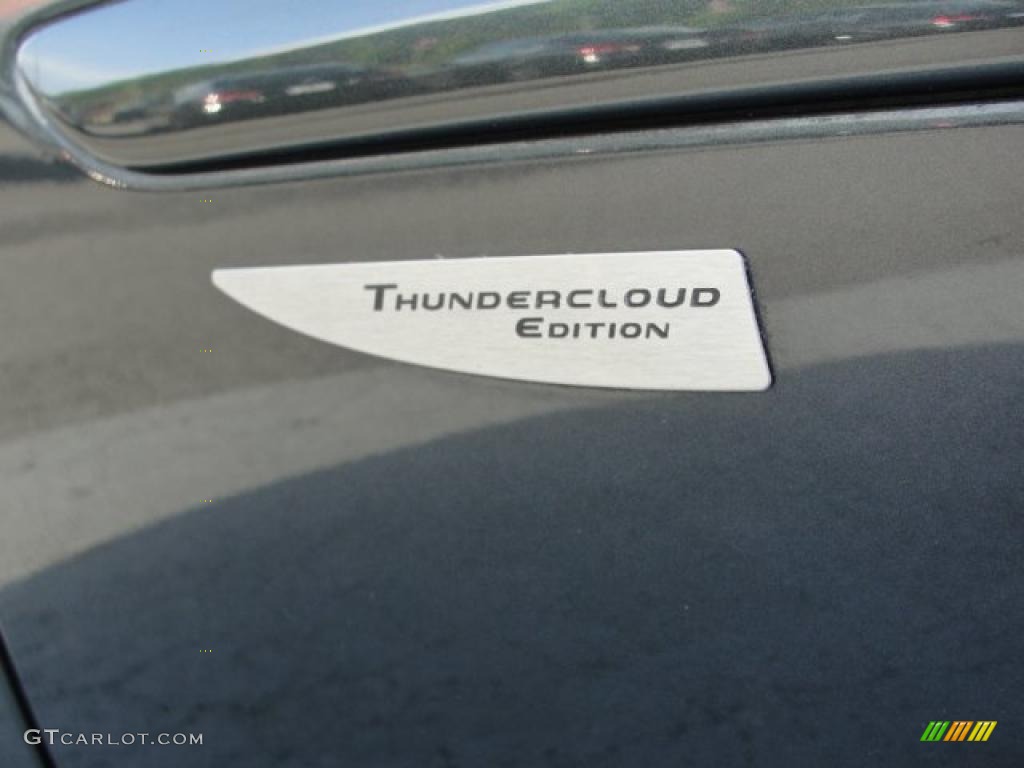 2005 RX 330 Thundercloud Edition - Flint Gray Mica / Ivory photo #9