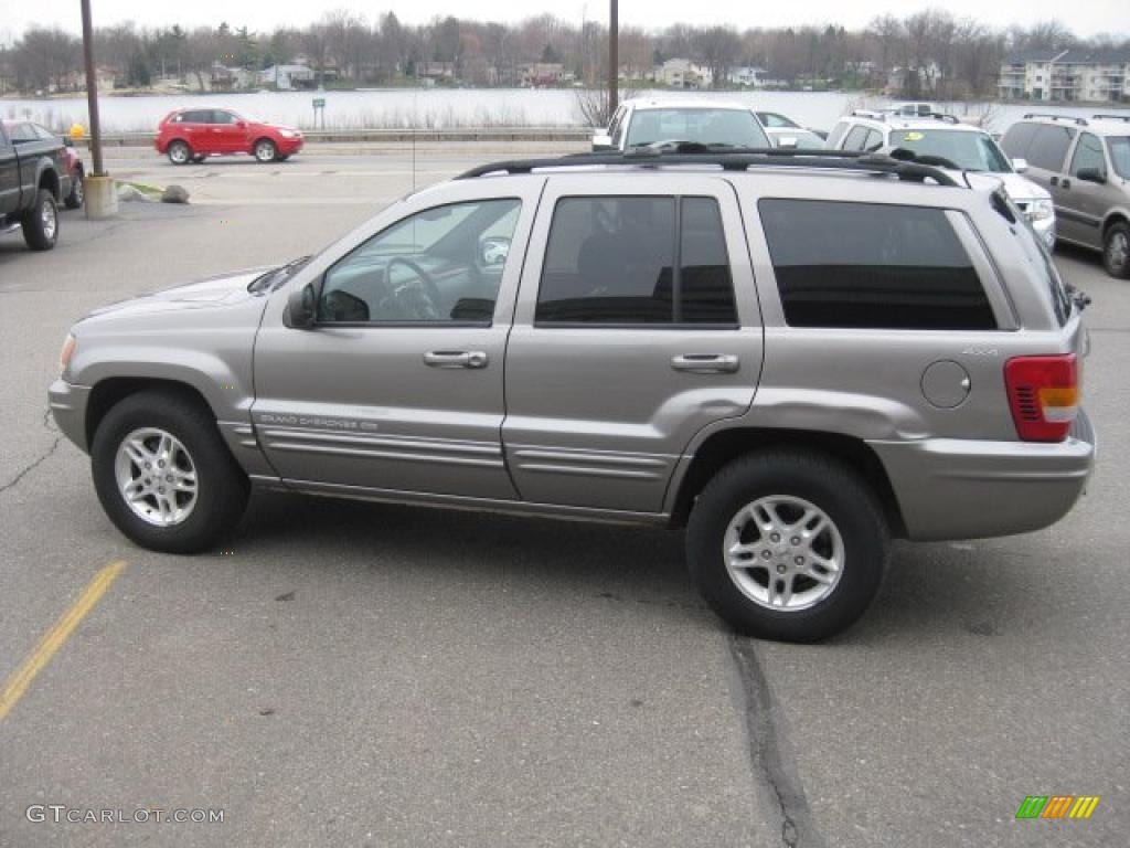 1999 Grand Cherokee Limited 4x4 - Bright Platinum Metallic / Agate photo #5