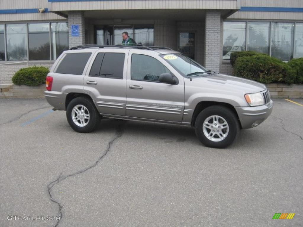 1999 Grand Cherokee Limited 4x4 - Bright Platinum Metallic / Agate photo #6