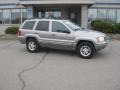 Bright Platinum Metallic - Grand Cherokee Limited 4x4 Photo No. 6