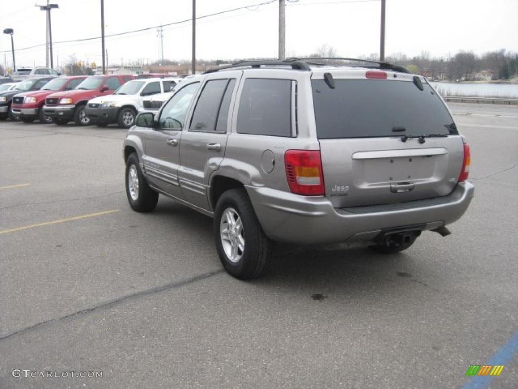 1999 Grand Cherokee Limited 4x4 - Bright Platinum Metallic / Agate photo #9