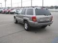 Bright Platinum Metallic - Grand Cherokee Limited 4x4 Photo No. 9
