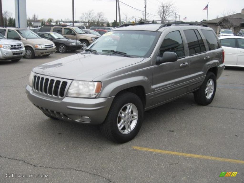 1999 Grand Cherokee Limited 4x4 - Bright Platinum Metallic / Agate photo #10