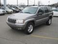Bright Platinum Metallic - Grand Cherokee Limited 4x4 Photo No. 10