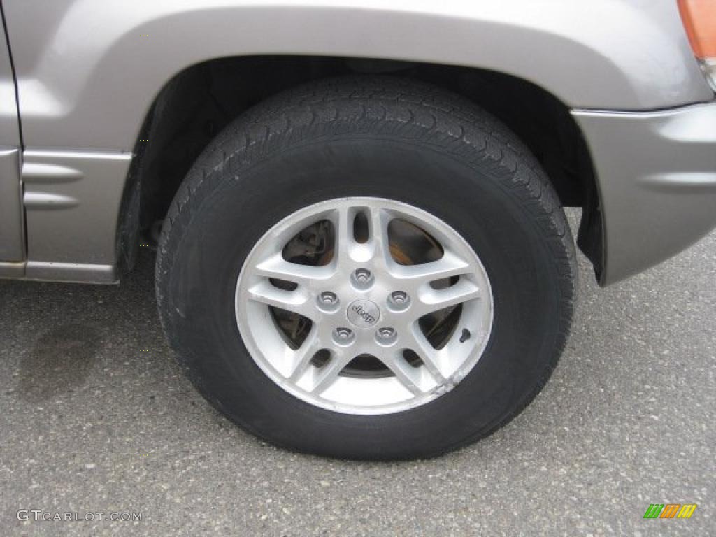 1999 Grand Cherokee Limited 4x4 - Bright Platinum Metallic / Agate photo #12