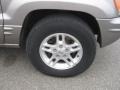 Bright Platinum Metallic - Grand Cherokee Limited 4x4 Photo No. 12