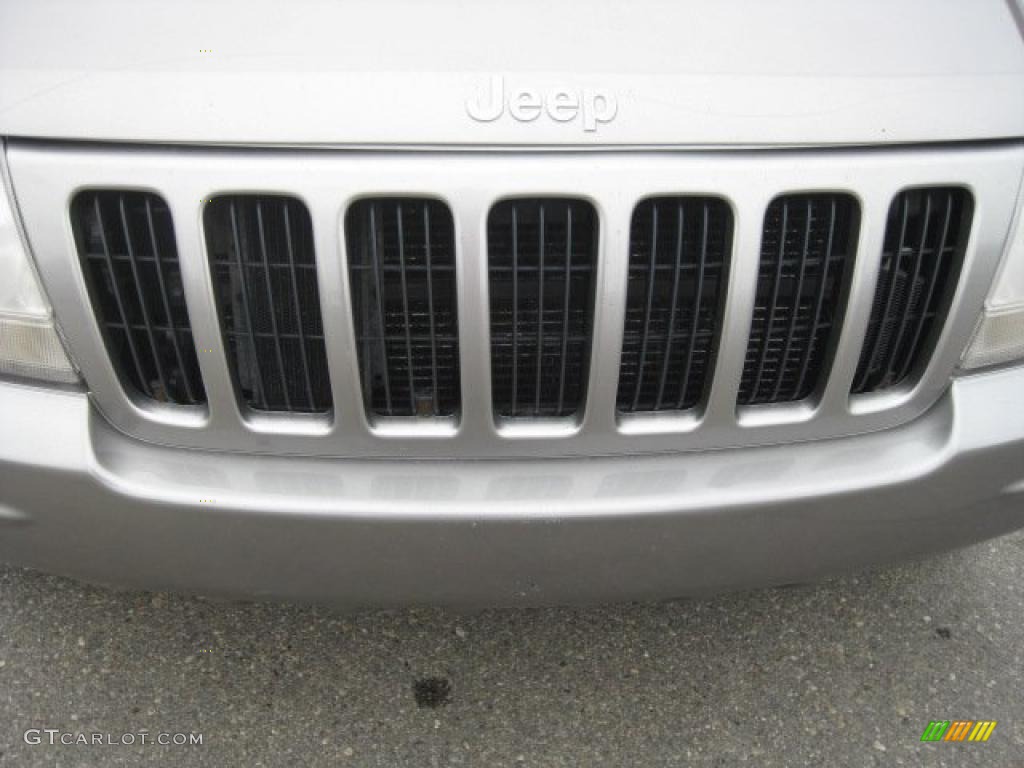 1999 Grand Cherokee Limited 4x4 - Bright Platinum Metallic / Agate photo #14