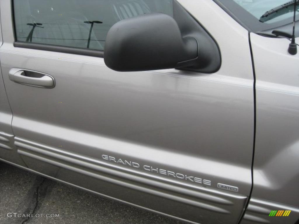 1999 Grand Cherokee Limited 4x4 - Bright Platinum Metallic / Agate photo #15