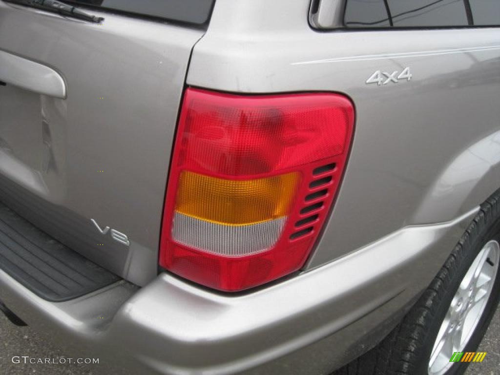 1999 Grand Cherokee Limited 4x4 - Bright Platinum Metallic / Agate photo #16