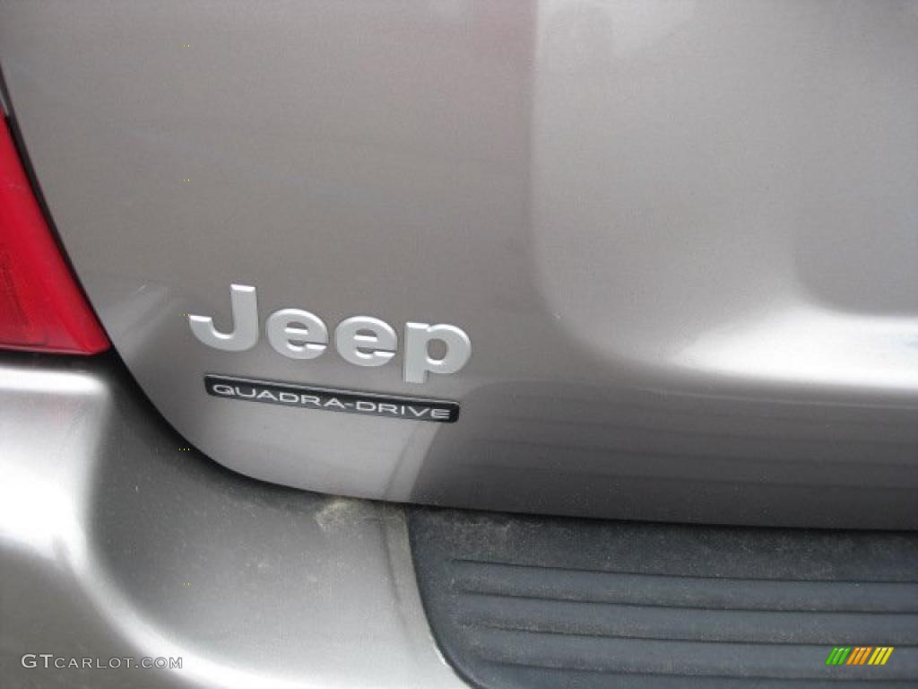 1999 Grand Cherokee Limited 4x4 - Bright Platinum Metallic / Agate photo #18