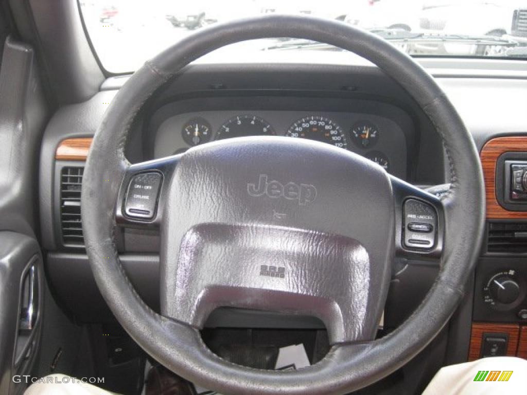 1999 Grand Cherokee Limited 4x4 - Bright Platinum Metallic / Agate photo #24