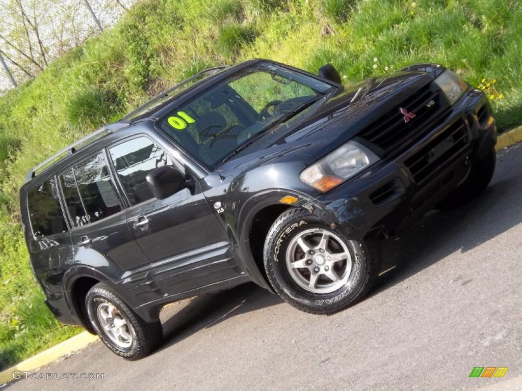 2001 Montero XLS 4x4 - Solano Black Pearl / Gray photo #19