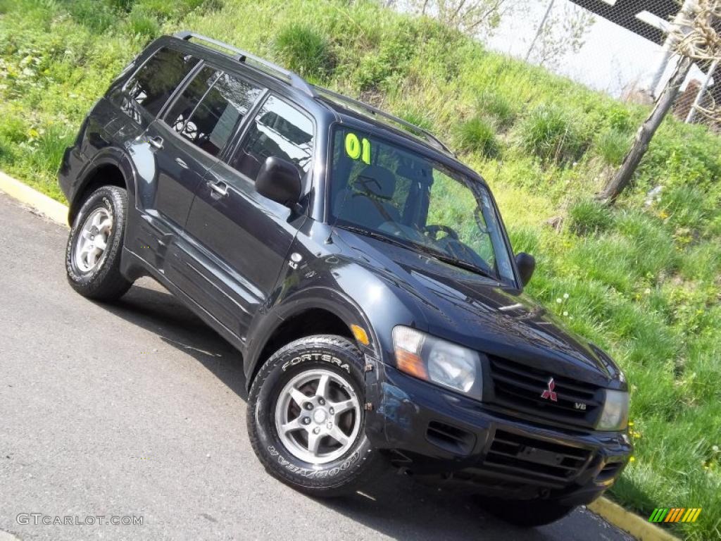 2001 Montero XLS 4x4 - Solano Black Pearl / Gray photo #20