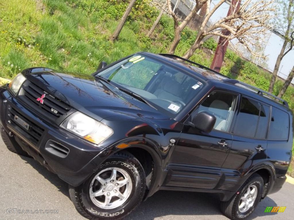 2001 Montero XLS 4x4 - Solano Black Pearl / Gray photo #23