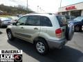 2002 Vintage Gold Metallic Toyota RAV4 4WD  photo #5