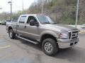 2006 Arizona Beige Metallic Ford F250 Super Duty XLT Crew Cab 4x4  photo #5