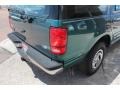 1997 Pacific Green Metallic Ford Expedition XLT 4x4  photo #17
