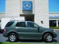 2003 designo Mystic Green Metallic Mercedes-Benz ML 500 4Matic  photo #5