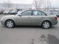 Natural Khaki Green - Sonata GLS Photo No. 11