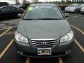 Natural Khaki - Elantra GLS Photo No. 12