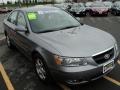Steel Gray - Sonata GLS V6 Photo No. 11