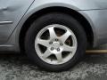 Steel Gray - Sonata GLS V6 Photo No. 17
