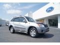 Titanium Metallic - RAV4  Photo No. 1