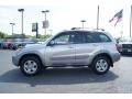 Titanium Metallic - RAV4  Photo No. 5