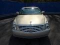 2007 Gold Mist Cadillac DTS Sedan  photo #7