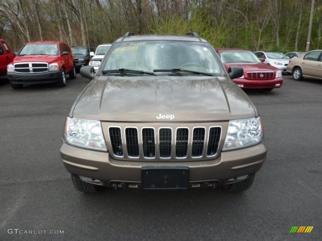 2002 Grand Cherokee Limited 4x4 - Woodland Brown Satin Glow / Taupe photo #2