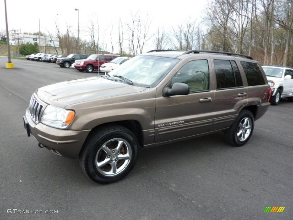 2002 Grand Cherokee Limited 4x4 - Woodland Brown Satin Glow / Taupe photo #3