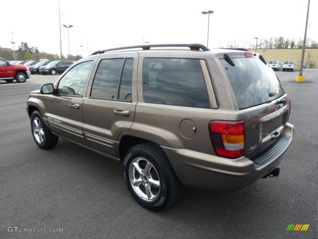 2002 Grand Cherokee Limited 4x4 - Woodland Brown Satin Glow / Taupe photo #4