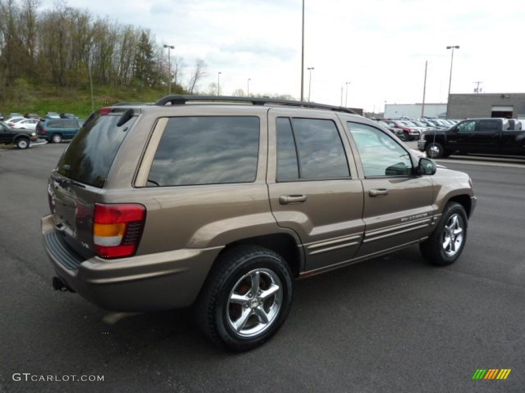 2002 Grand Cherokee Limited 4x4 - Woodland Brown Satin Glow / Taupe photo #6