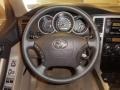 2007 Driftwood Pearl Toyota 4Runner Limited  photo #15