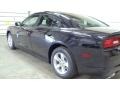 Brilliant Black Crystal Pearl - Charger SE Photo No. 11