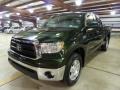 Spruce Green Mica - Tundra TRD Double Cab 4x4 Photo No. 11