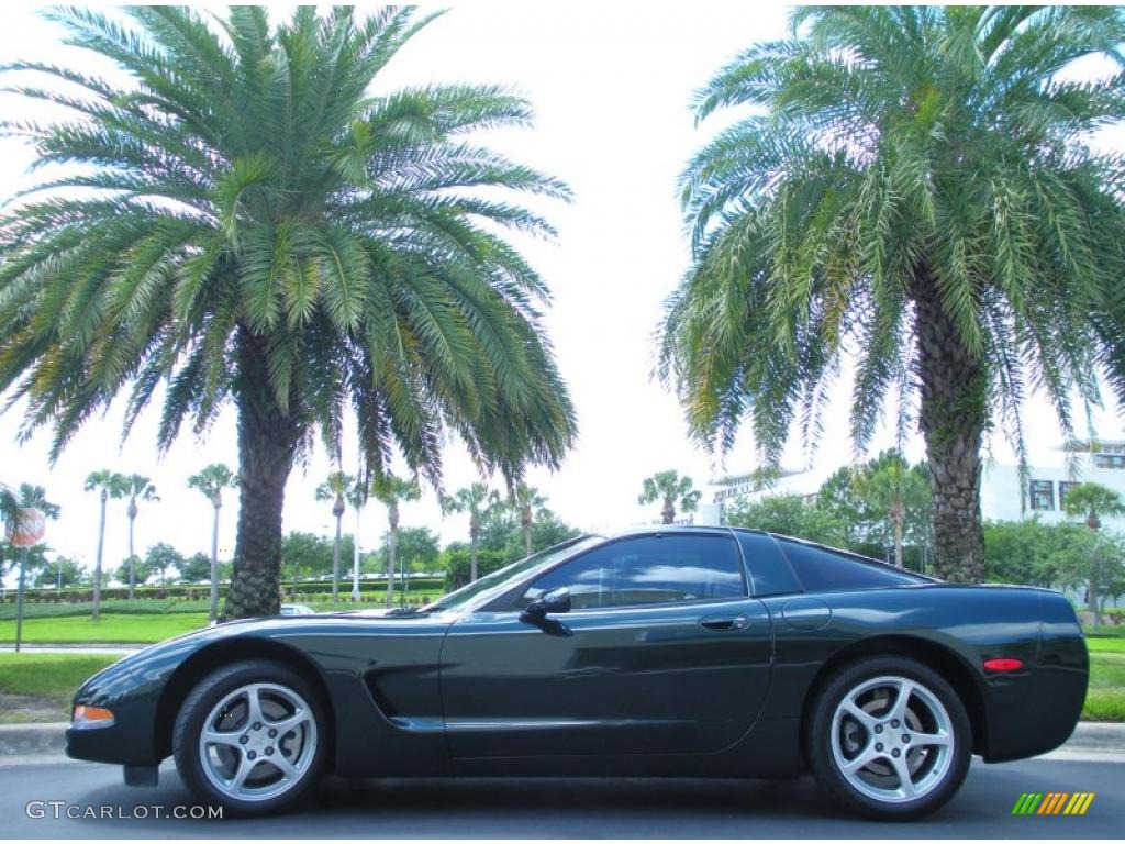 2000 Corvette Coupe - Dark Bowling Green Metallic / Light Oak photo #1