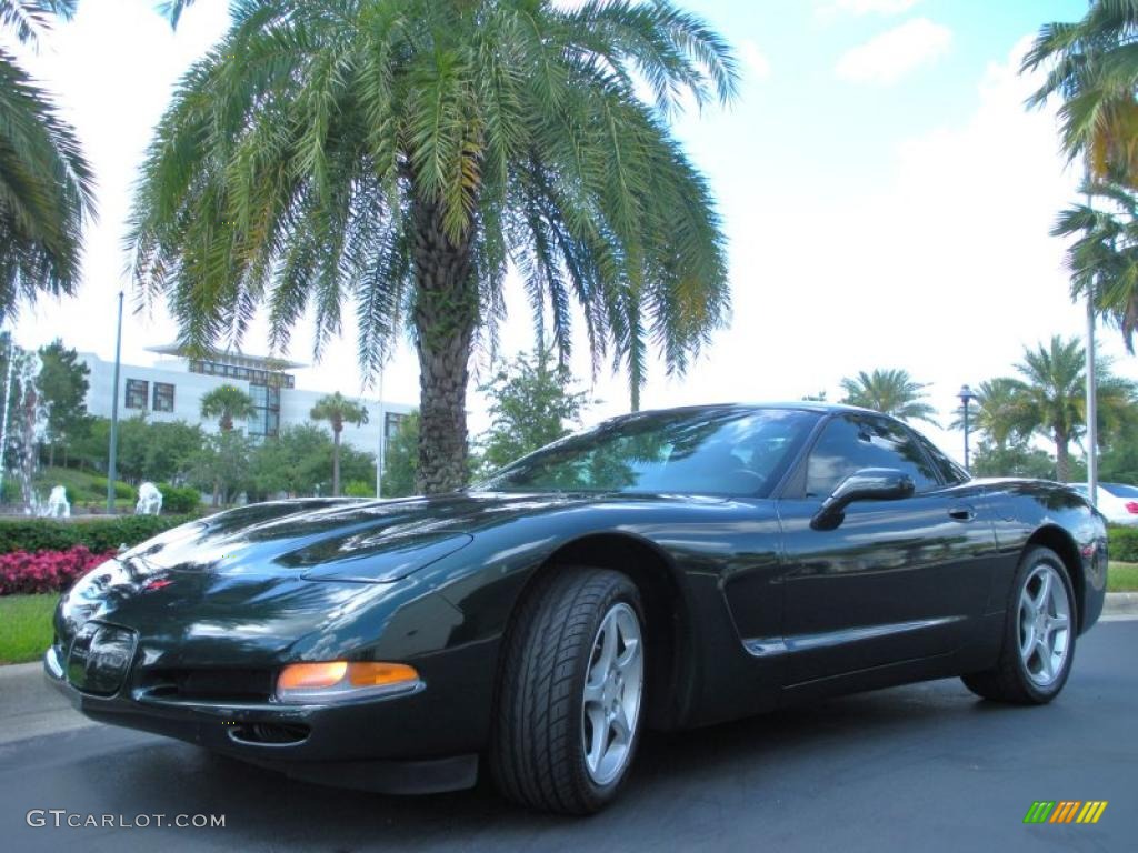 2000 Corvette Coupe - Dark Bowling Green Metallic / Light Oak photo #2
