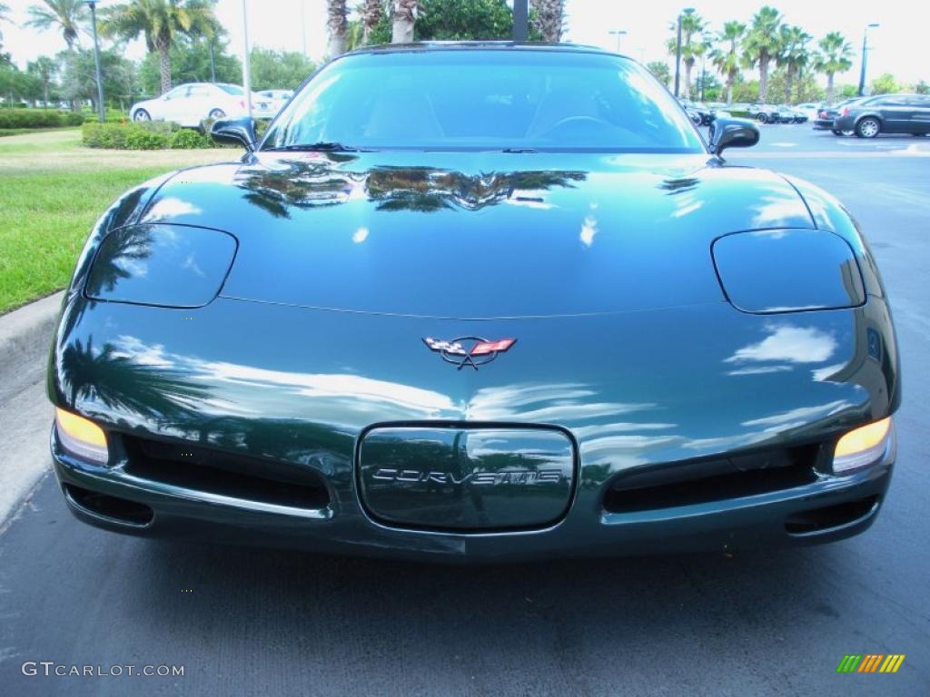 2000 Corvette Coupe - Dark Bowling Green Metallic / Light Oak photo #3